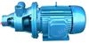 W型旋涡泵,不锈钢旋涡泵,锅炉给水泵,单级旋涡泵