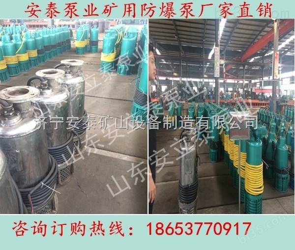 绍兴潜污泵50QW27-15-2.2 外装 卧式污水泵价格 安泰搅拌泵