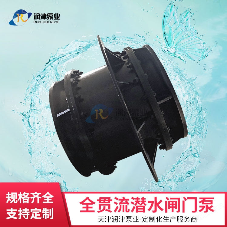 一体化泵闸成套设备 潜水闸门泵 润津泵业