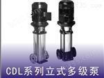 LWJ-1CDL轻型立式多级泵