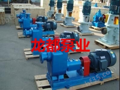 * 100CYZ-40防爆自吸式离心泵 汽油柴油泵 甲醇泵 燃油泵