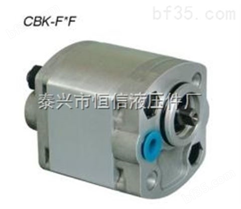CBK-F0.63F高压小排量齿轮泵