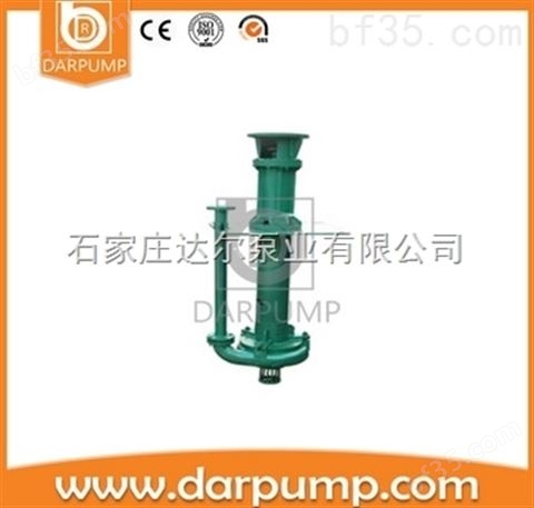【达尔泵业】40DVZ-A21立式渣浆泵_立式液下泵