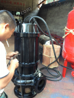 供应50JYWQ25-32-1600-5.5排污泵