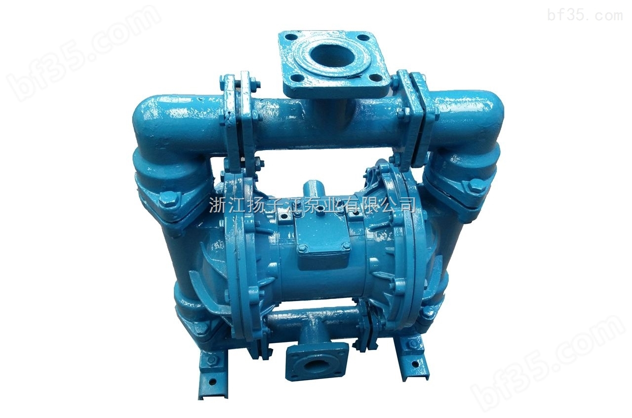 QBK气动隔膜泵 进口污水隔膜泵 环保隔膜泵 不锈钢隔膜泵