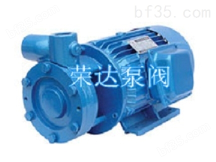 荣达W型旋涡泵 1W2.4-10.5 高扬程水泵 水泵
