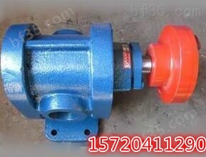 2CY-12/2.5齿轮泵/高压齿轮油泵/增压泵/燃油泵/高压泵头