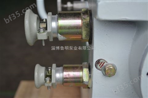 淄博鲁明-屏蔽泵