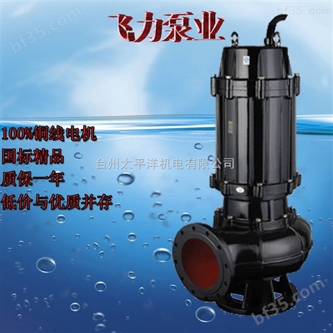 台州潜水泵中国好货源高效节能 飞力泵业