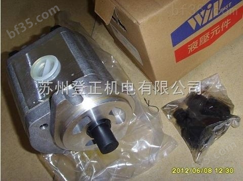 中国台湾峰昌叶片泵P36-A1-F-R-01驱动装置