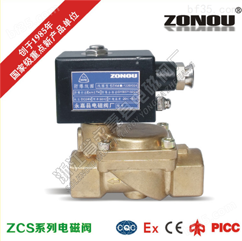 ZN/D-BD03高压电磁阀 黄铜高压电磁阀