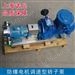 高粘度转子泵防爆型转子泵糖浆转子泵