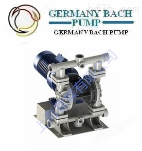 进口电动隔膜泵-德国BH-EHP往复泵
