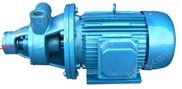 W型旋涡泵,不锈钢旋涡泵,锅炉给水泵,单级旋涡泵