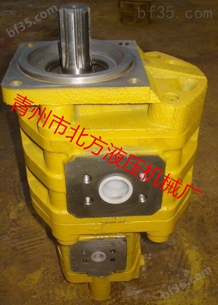 长江双联齿轮油泵CBY3040/K1025-A2FR