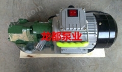 wcb-50手提式电动油泵/手提式齿轮泵/手提式微型齿轮油泵