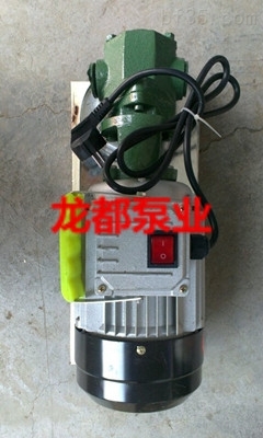 wcb-50手提式电动油泵/手提式齿轮泵/手提式微型齿轮油泵