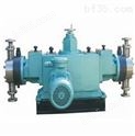 进口对置式计量泵-上海代理-意蝶泵业